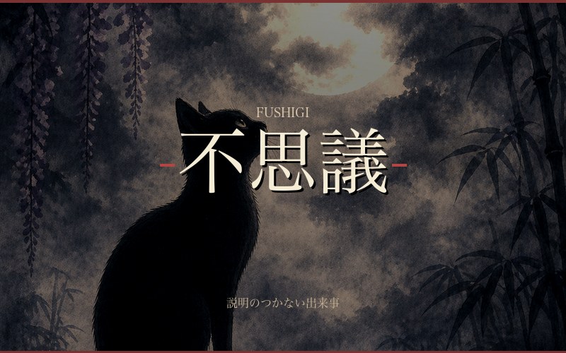 不思議