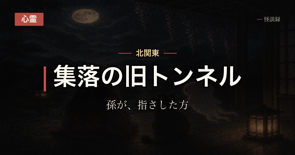 実家の裏のトンネルで孫が見たもの
